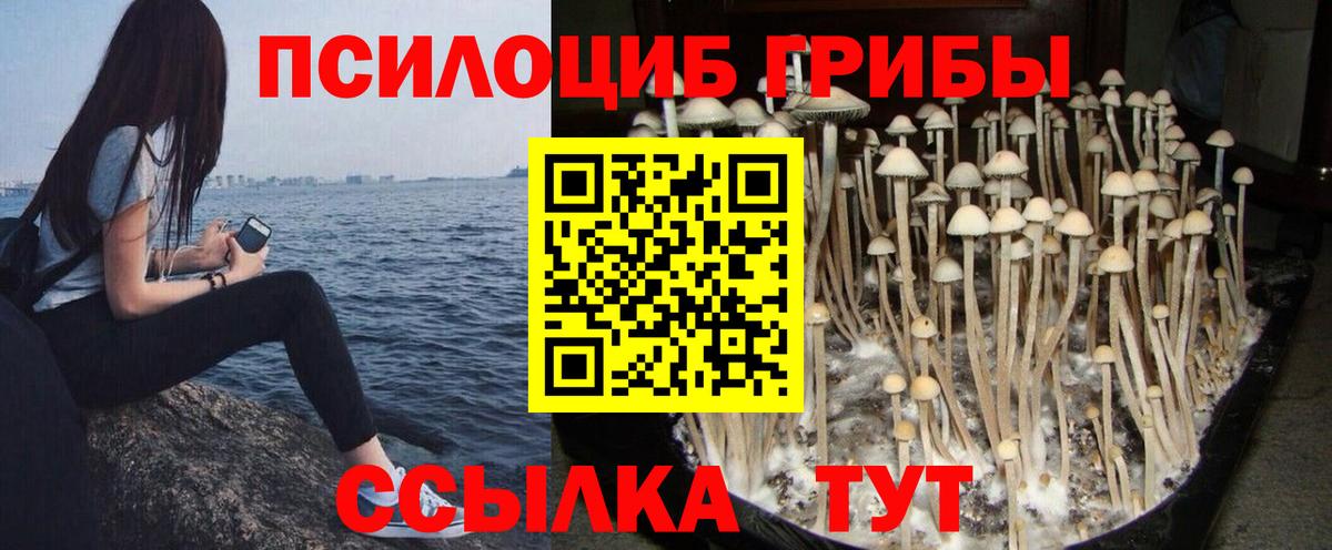 Псилоцибиновые грибы мухоморы  Псилоцибиновые грибы GOLDEN TEACHER  Бор  Вход с VPN 