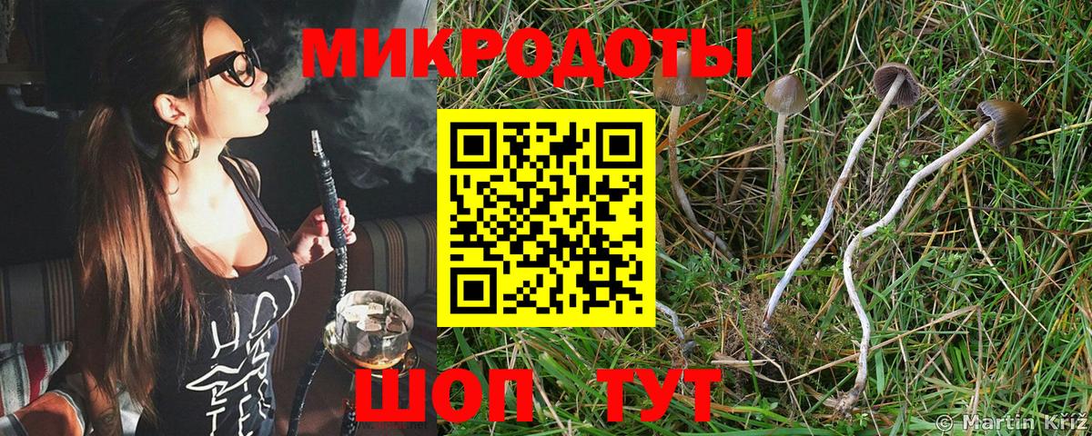Псилоцибиновые грибы ЛСД Бор